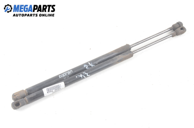 Амортисьор за багажник/товарно пространство за Ford Focus I Hatchback (10.1998 - 12.2007)