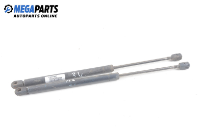 Амортисьор за багажник/товарно пространство за Renault Megane I Hatchback (08.1995 - 12.2004)