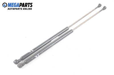 Амортисьор за багажник/товарно пространство за Citroen ZX Hatchback (03.1991 - 07.1999)