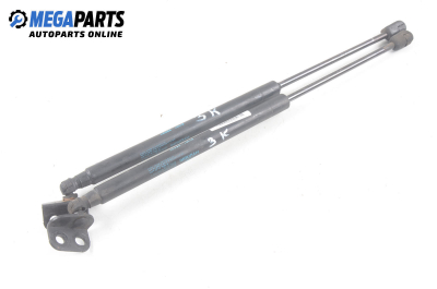 Амортисьор за багажник/товарно пространство за Hyundai Santa Fe I SUV (11.2000 - 03.2006)