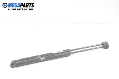 Амортисьор за багажник/товарно пространство за Citroen C3 Hatchback I (02.2002 - 11.2009)