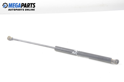 Амортисьор за багажник/товарно пространство за Renault Megane I Grandtour (03.1999 - 08.2003)