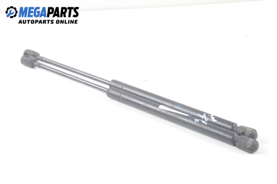 Амортисьор за багажник/товарно пространство за Renault Megane I Hatchback (08.1995 - 12.2004)