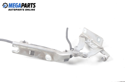 Панта преден капак за Volkswagen Golf V Hatchback (10.2003 - 02.2009), 4+1 вр., хечбек, позиция: дясна