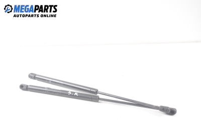 Амортисьор за багажник/товарно пространство за Fiat Bravo I Coupe (1995-10-01 - 2001-10-01)