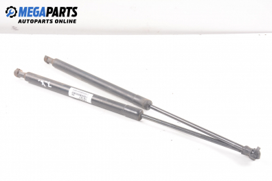 Амортисьор за багажник/товарно пространство за Audi A4 Avant B6 (04.2001 - 12.2004)