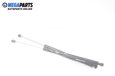 Амортисьор за багажник/товарно пространство за Renault Laguna I Hatchback (11.1993 - 08.2002)