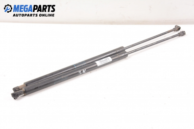 Амортисьор за багажник/товарно пространство за Peugeot 206 Station Wagon (07.2002 - ...)