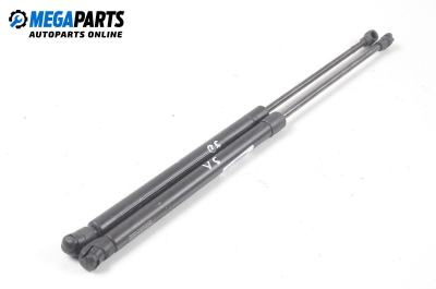 Амортисьор за багажник/товарно пространство за Audi A3 Hatchback I (09.1996 - 05.2003)