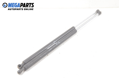 Амортисьор за багажник/товарно пространство за Renault Laguna I Hatchback (11.1993 - 08.2002)