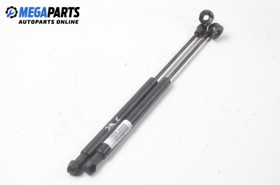 Амортисьор за багажник/товарно пространство за Renault Scenic II Minivan (06.2003 - 07.2010)