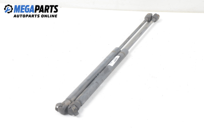 Амортисьор за багажник/товарно пространство за Renault 19 I Hatchback (01.1988 - 09.1994)