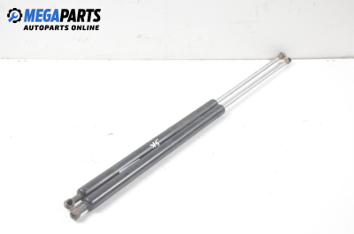 Амортисьор за багажник/товарно пространство за Renault Kangoo Van (08.1997 - 02.2008)