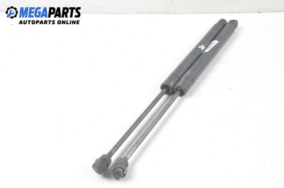 Амортисьор за багажник/товарно пространство за Audi A6 Avant C5 (11.1997 - 01.2005)