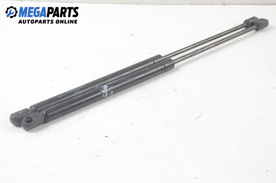 Амортисьор за багажник/товарно пространство за Renault 19 II Hatchback (01.1991 - 06.2001)