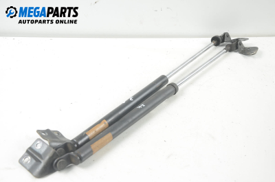 Амортисьор за багажник/товарно пространство за Suzuki Alto Hatchback IV (11.1993 - 09.1998)