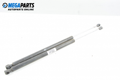 Амортисьор за багажник/товарно пространство за Lancia Zeta Minivan (05.1995 - 09.2002)