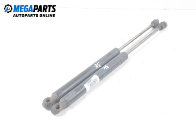 Амортисьор за багажник/товарно пространство за Opel Signum Hatchback (05.2003 - 12.2008)