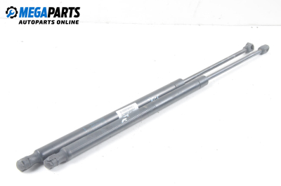 Амортисьор за багажник/товарно пространство за Land Rover Range Rover Sport I (02.2005 - 03.2013)