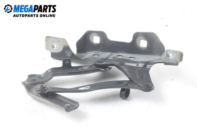 Панта преден капак за Mercedes-Benz A-Class Hatchback (W169) (09.2004 - 06.2012), 4+1 вр., хечбек, позиция: лява