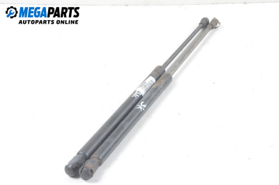 Амортисьор за багажник/товарно пространство за Audi A6 Avant C5 (11.1997 - 01.2005)