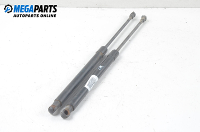 Амортисьор за багажник/товарно пространство за Audi A3 Hatchback II (05.2003 - 08.2012)