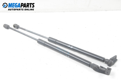 Амортисьор за багажник/товарно пространство за Mitsubishi Outlander I SUV (03.2001 - 12.2006)