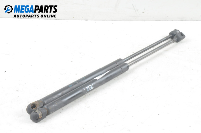 Амортисьор за багажник/товарно пространство за Mini Hatchback (R50, R53) (06.2001 - 09.2006)