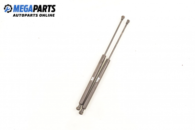 Амортисьор за багажник/товарно пространство за Peugeot 206 Hatchback (08.1998 - 12.2012)