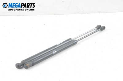 Амортисьор за багажник/товарно пространство за Ford Focus I Hatchback (10.1998 - 12.2007)