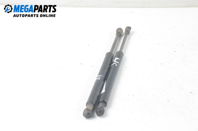 Амортисьор за багажник/товарно пространство за BMW 3 Series E46 Sedan (02.1998 - 04.2005)