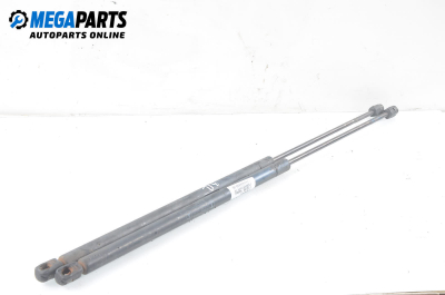 Амортисьор за багажник/товарно пространство за Mercedes-Benz Vaneo Minivan (02.2002 - 07.2005)