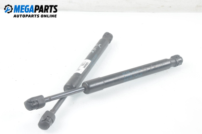 Амортисьор за багажник/товарно пространство за Audi A6 Sedan C6 (05.2004 - 03.2011)