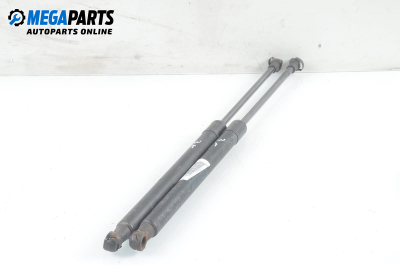 Амортисьор за багажник/товарно пространство за Audi A3 Hatchback II (05.2003 - 08.2012)