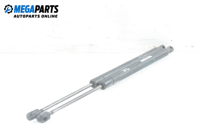 Амортисьор за багажник/товарно пространство за Renault Scenic II Minivan (06.2003 - 07.2010)