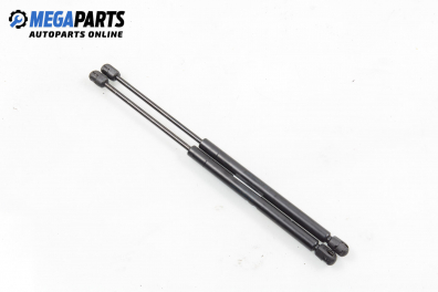 Амортисьор за багажник/товарно пространство за Hyundai Santa Fe I SUV (11.2000 - 03.2006)