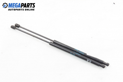 Амортисьор за багажник/товарно пространство за Hyundai Santa Fe I SUV (11.2000 - 03.2006)