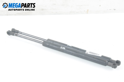 Амортисьор преден капак за Nissan Murano I SUV (08.2003 - 09.2008)