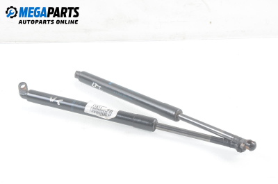 Амортисьор за багажник/товарно пространство за BMW 5 Series E39 Sedan (11.1995 - 06.2003)