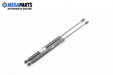 Амортисьор за багажник/товарно пространство за Mercedes-Benz B-Class Hatchback I (03.2005 - 11.2011)