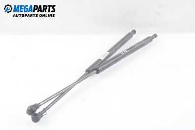 Амортисьор за багажник/товарно пространство за Hyundai Santa Fe I SUV (11.2000 - 03.2006)