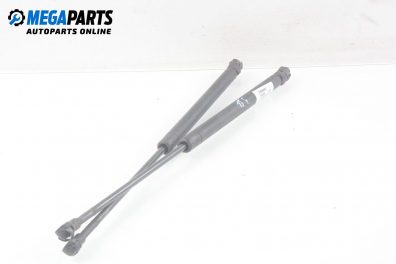 Амортисьор за багажник/товарно пространство за Audi A3 Hatchback I (09.1996 - 05.2003)