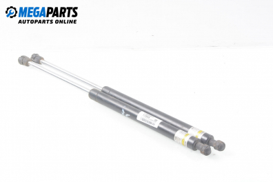 Амортисьор за багажник/товарно пространство за Audi A6 Allroad  C5 (05.2000 - 08.2005)