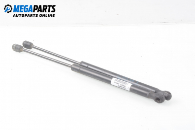 Амортисьор за багажник/товарно пространство за Renault Megane II Hatchback (07.2001 - 10.2012)