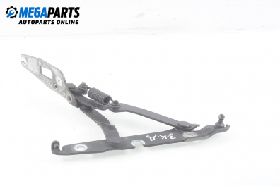 Панта заден капак за Audi A4 Sedan B7 (11.2004 - 06.2008), 4+1 вр., седан, позиция: дясна