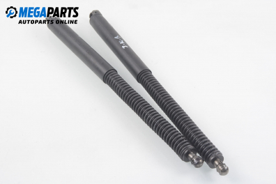 Амортисьор за багажник/товарно пространство за BMW 7 Series E65 (11.2001 - 12.2009)