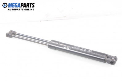 Амортисьор за багажник/товарно пространство за Hyundai Santa Fe II SUV (10.2005 - 03.2015)