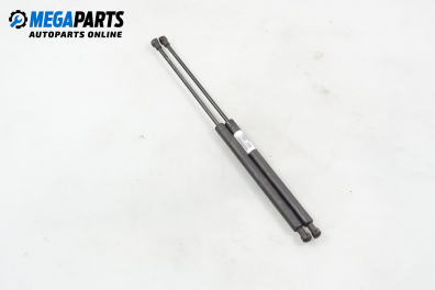 Амортисьор за багажник/товарно пространство за Peugeot 206 Hatchback (08.1998 - 12.2012)