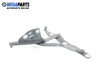 Панта заден капак за Audi TT Roadster I (10.1998 - 06.2006), 2+1 вр., кабрио, позиция: лява