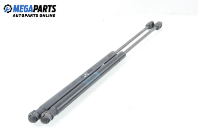 Амортисьор за багажник/товарно пространство за Mini Countryman (R60) (06.2010 - 10.2016)